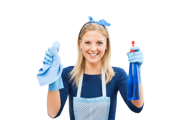 homecleaning.pro