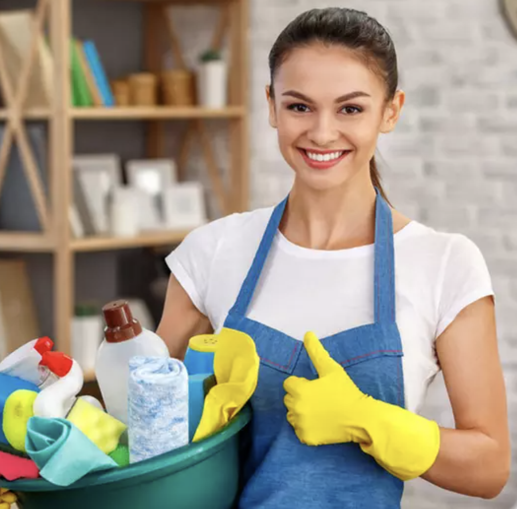 homecleaning.pro cleaner